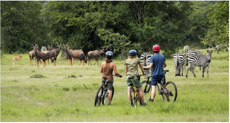 Cycling Tours in Uganda
