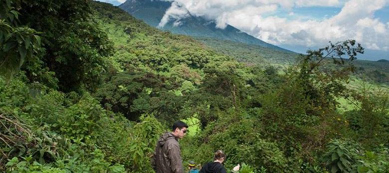 Gorilla trekking permit Rwanda
