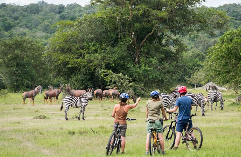 National Parks in Uganda