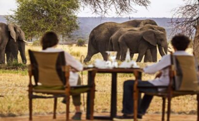 What Is Special About Tarangire National Park?