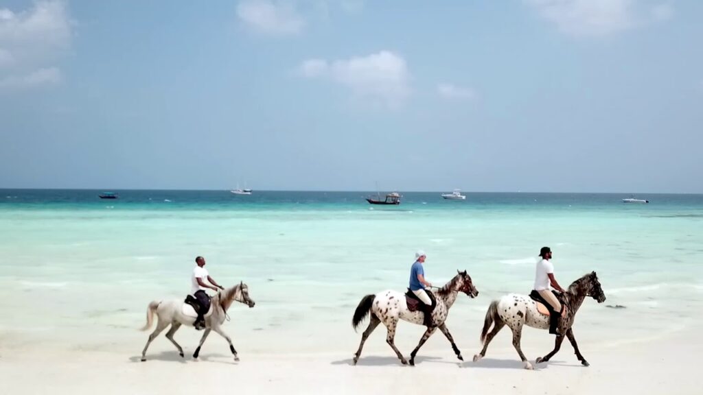 Things to do in Zanzibar