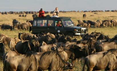 A Safari in the Masai Mara in Kenya – All You NEED to Know