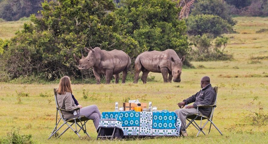 10 Simple Tips To Travel Sustainably On A Safari In Africa