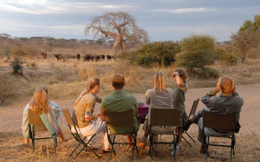 10 Simple Tips To Travel Sustainably On A Safari In Africa