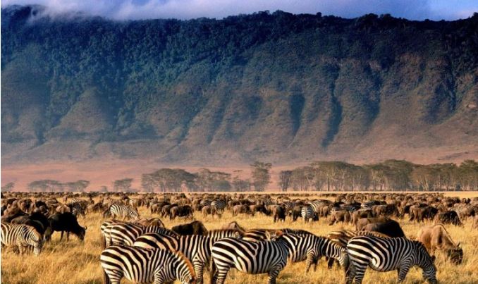 4 Day Serengeti & Ngorongoro Safari