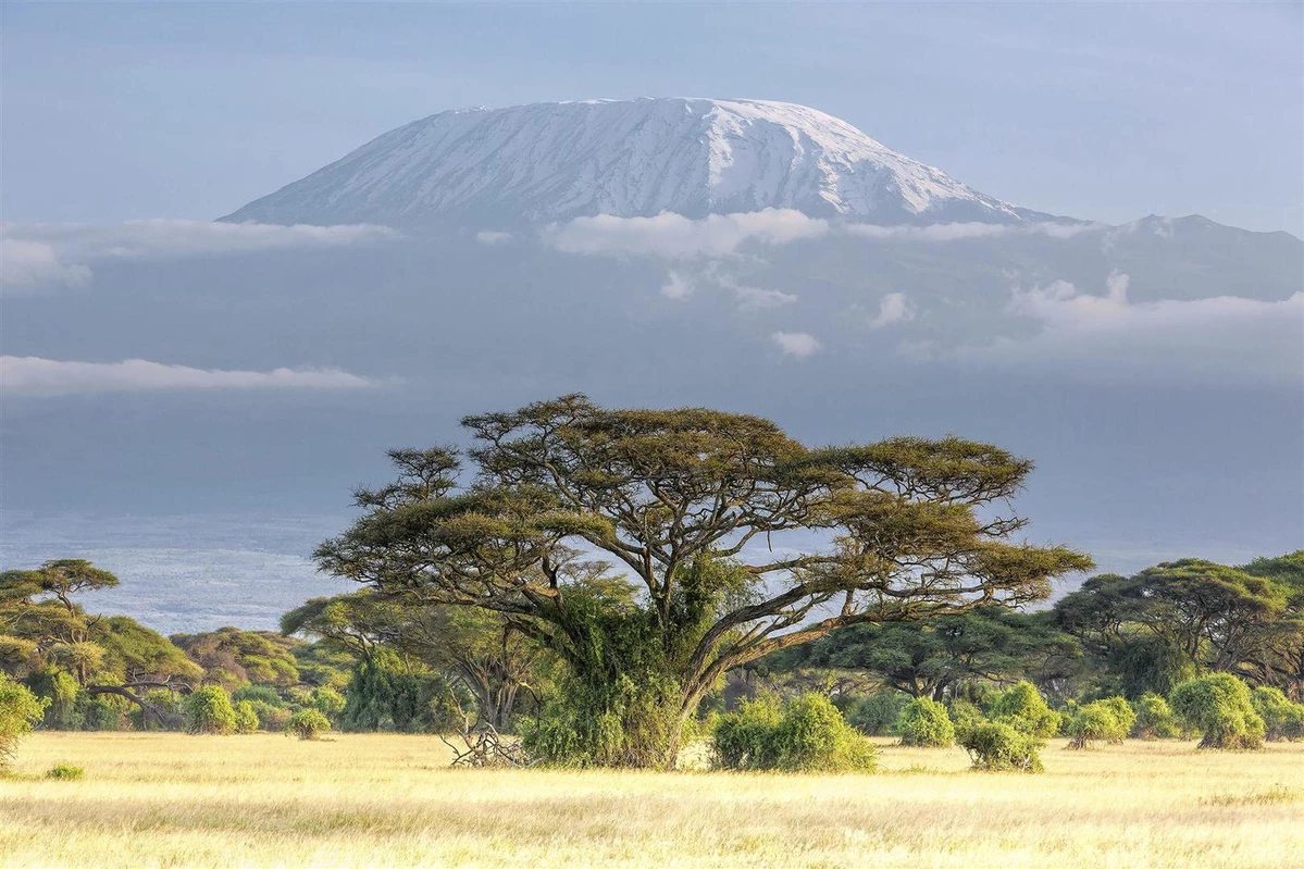 17 Best Tanzania Safaris, Tours & Holiday Packages