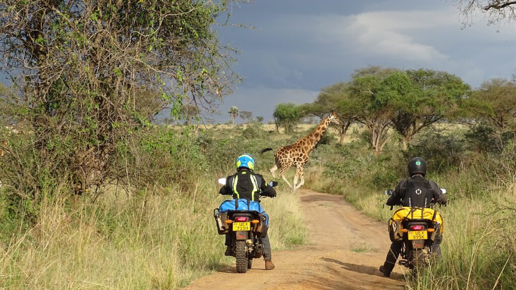 uganda adventure safaris