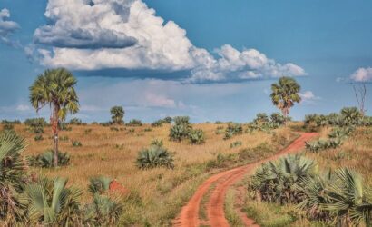 When Is The Best Time To Visit Uganda?
