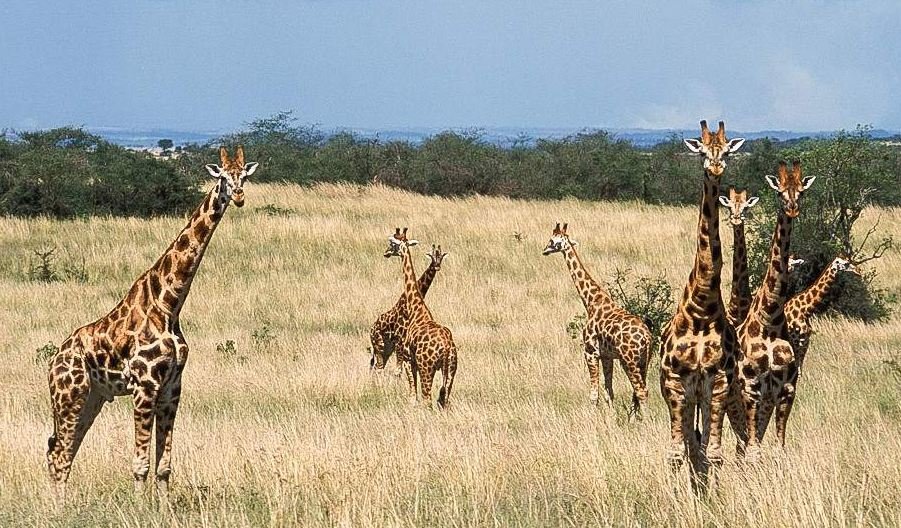 Best Weekend Trips from Kampala