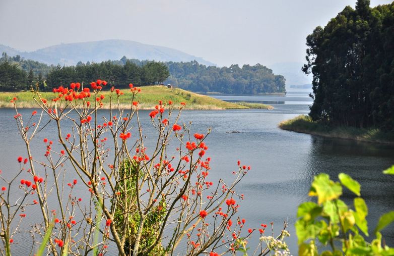National Parks in Uganda
