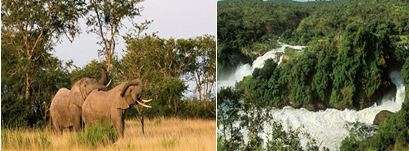 safari tours in Uganda