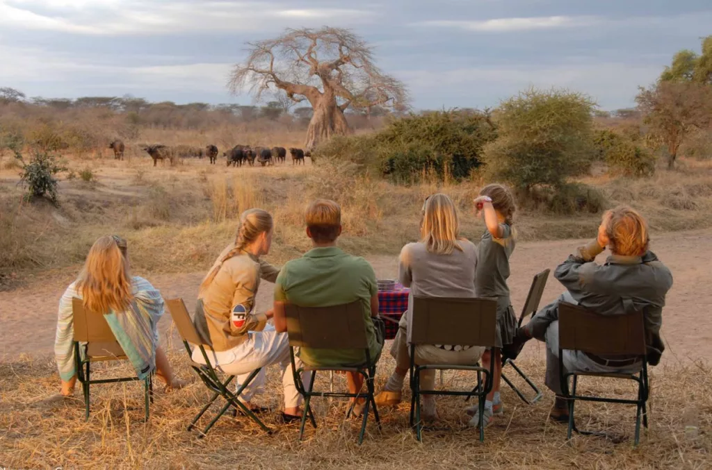 Tanzania safaris