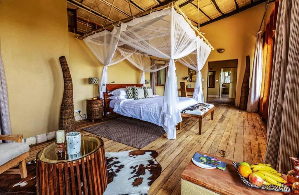 Uganda safari packages