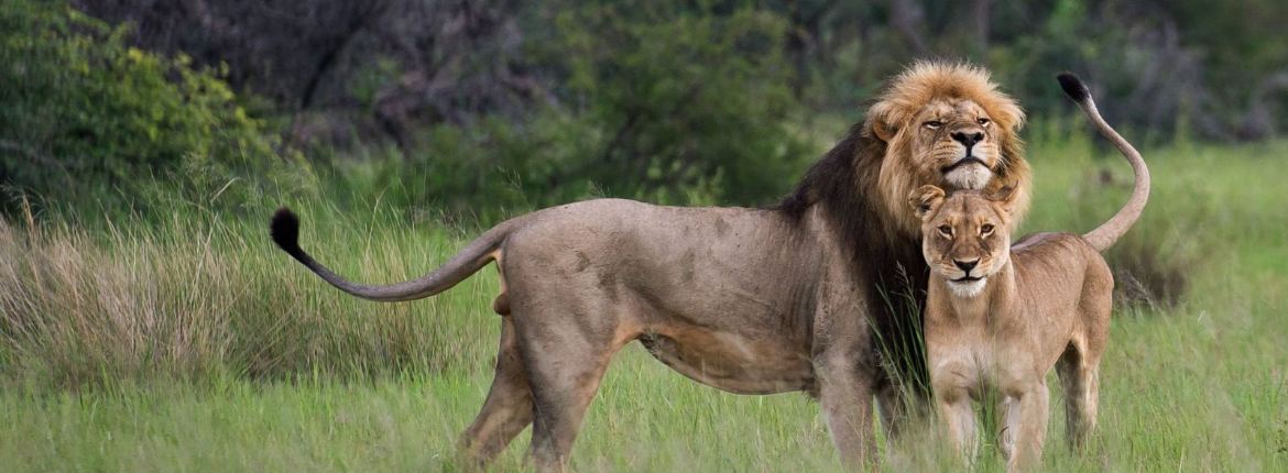 Queen Elizabeth National Park