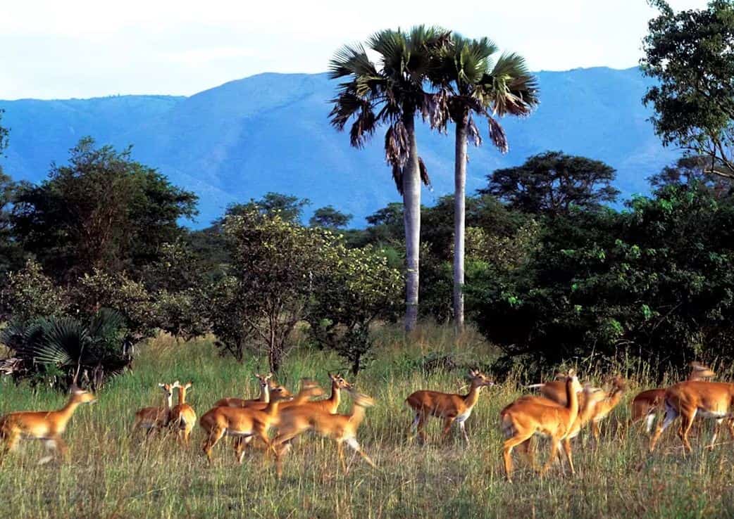 Semuliki Wildlife Reserve