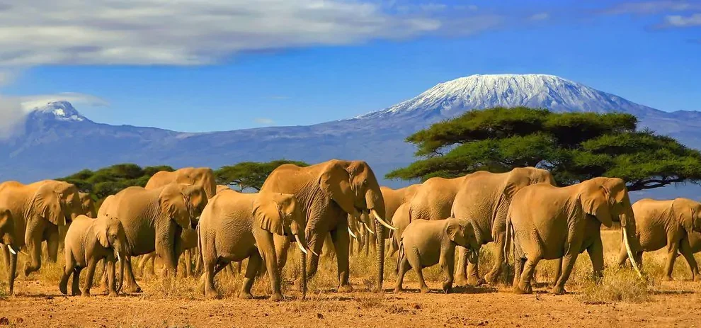 12-Day Uganda Kenya Safari