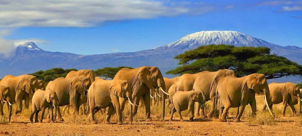 12-Day Uganda Kenya Safari
