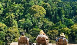 Gorilla Trekking Adventures in Uganda and Rwanda