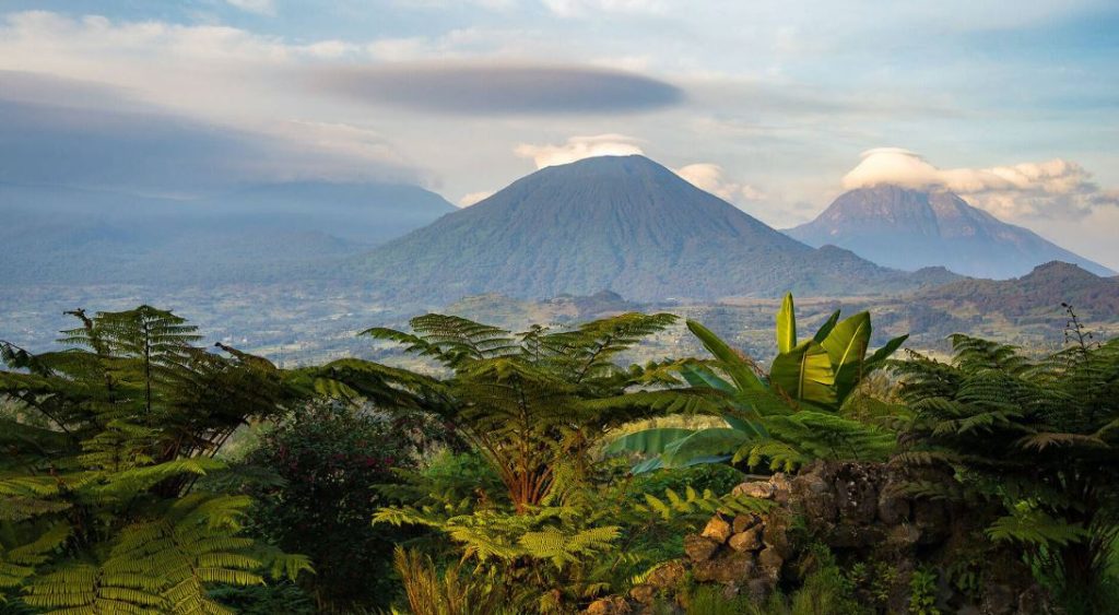 Rwanda Travel Guide