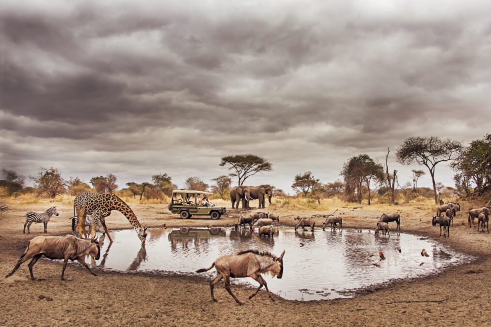 Tarangire National Park