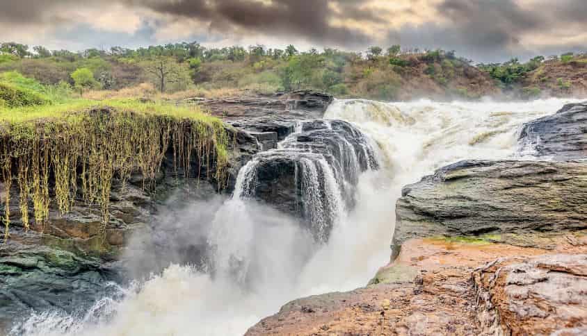 Uganda National Parks History