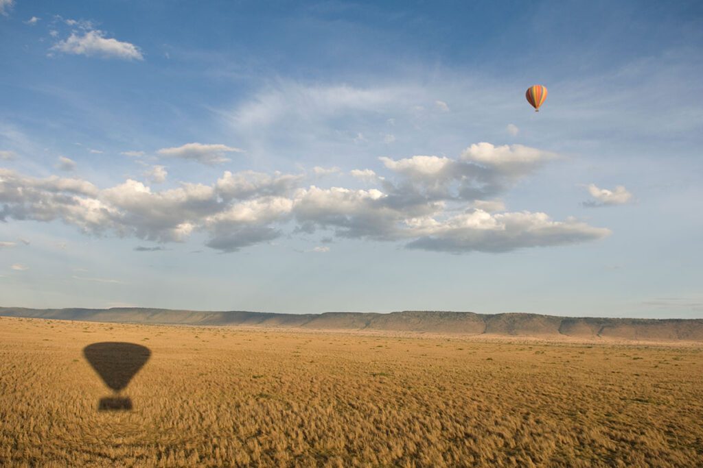 safari in the masai mara