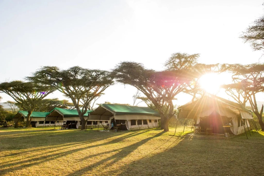 13 Amazing Facts About Ngorongoro Crater 6-day Tanzania safari