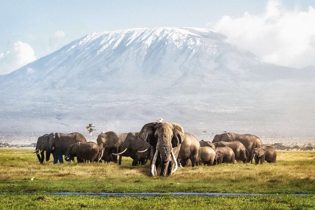 Kenya Amboseli National Park