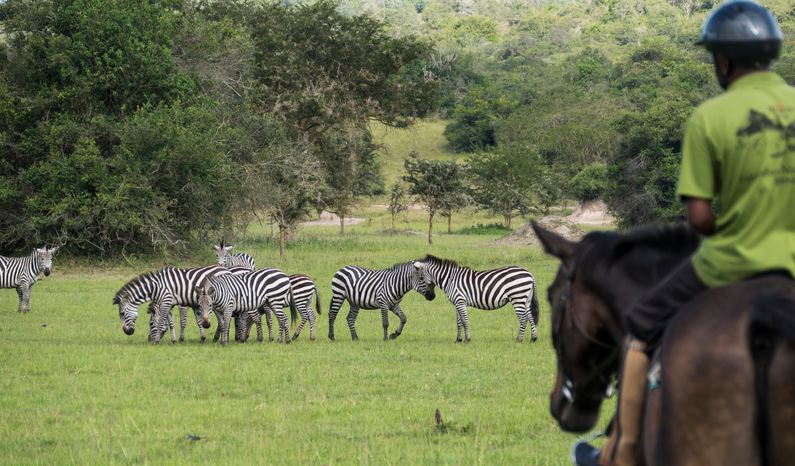 Uganda adventure safaris