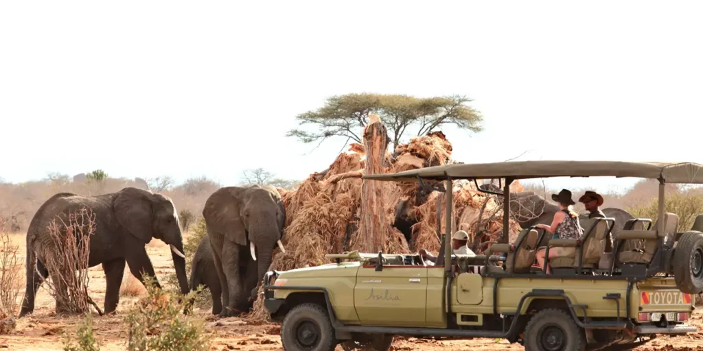 Ruaha National Park