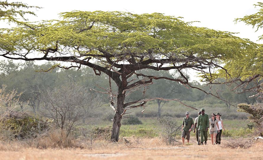 nyerere national park