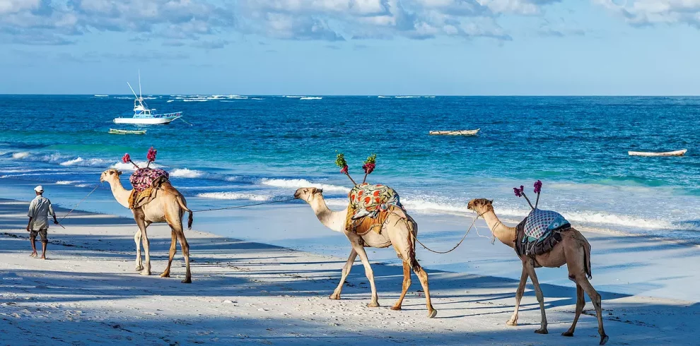 6 Day Mombasa and Diani Beach Holiday Packages