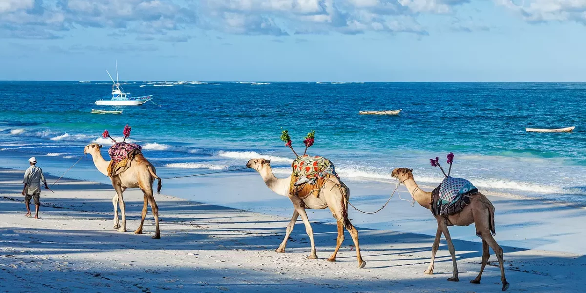 6 Day Mombasa and Diani Beach Holiday Packages