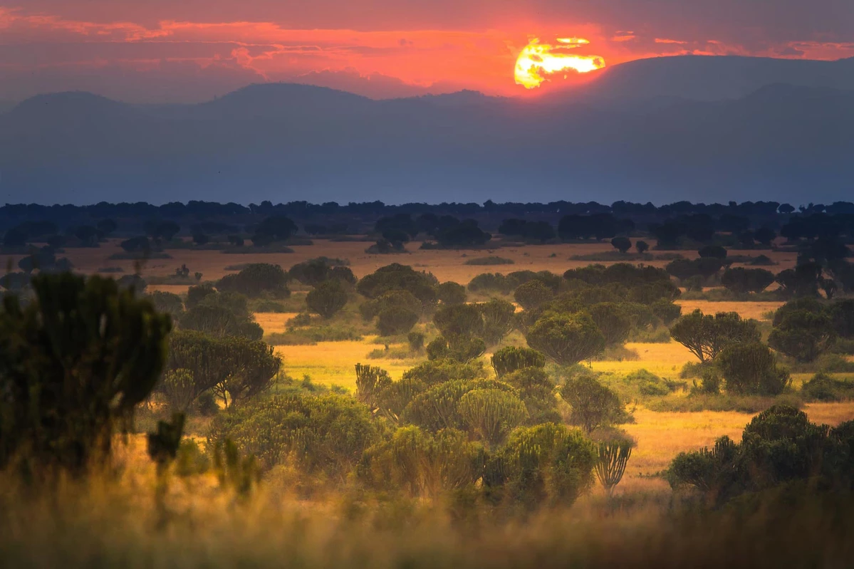 Queen Elizabeth National Park In Uganda