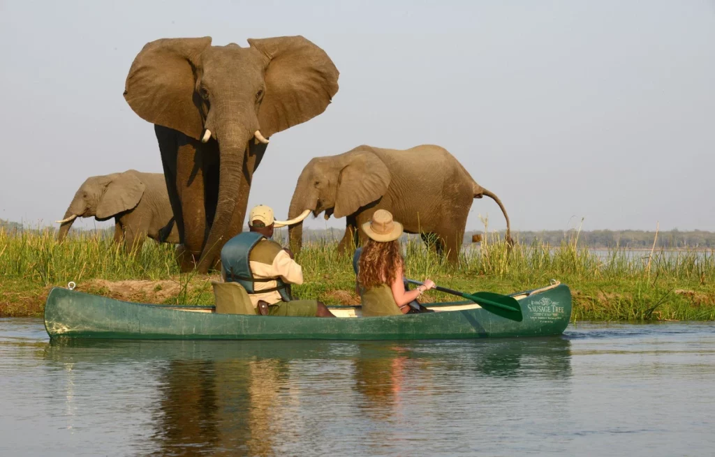 Best Zambia Safaris, Trips, And Tours 5 Days Victoria Falls and Chobe safari, Zambia and Botswana