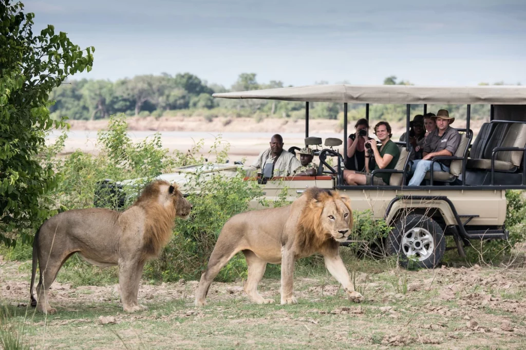 Best Zambia Safaris, Trips, And Tours 12 Days Zambia and Malawi safari and beach holiday