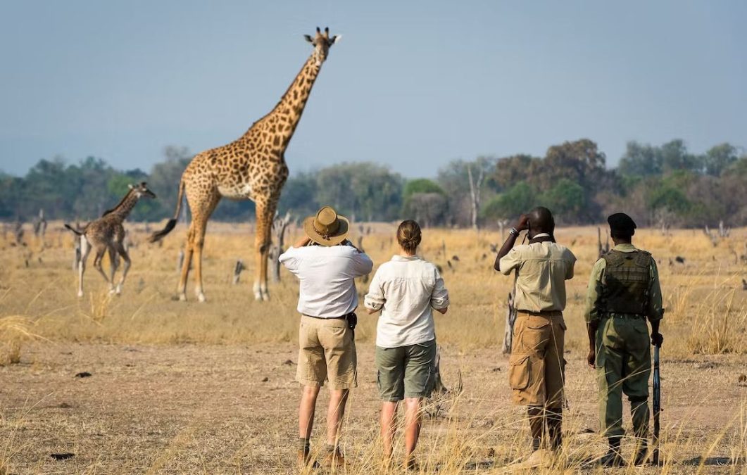 8 Days Zambia Walking Safari