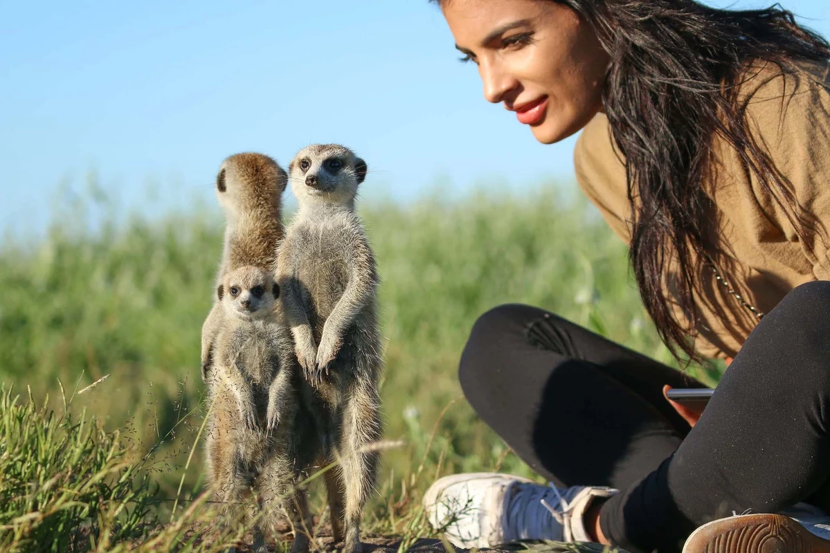 Africa Safaris And Holidays Best Botswana Safaris And Tours