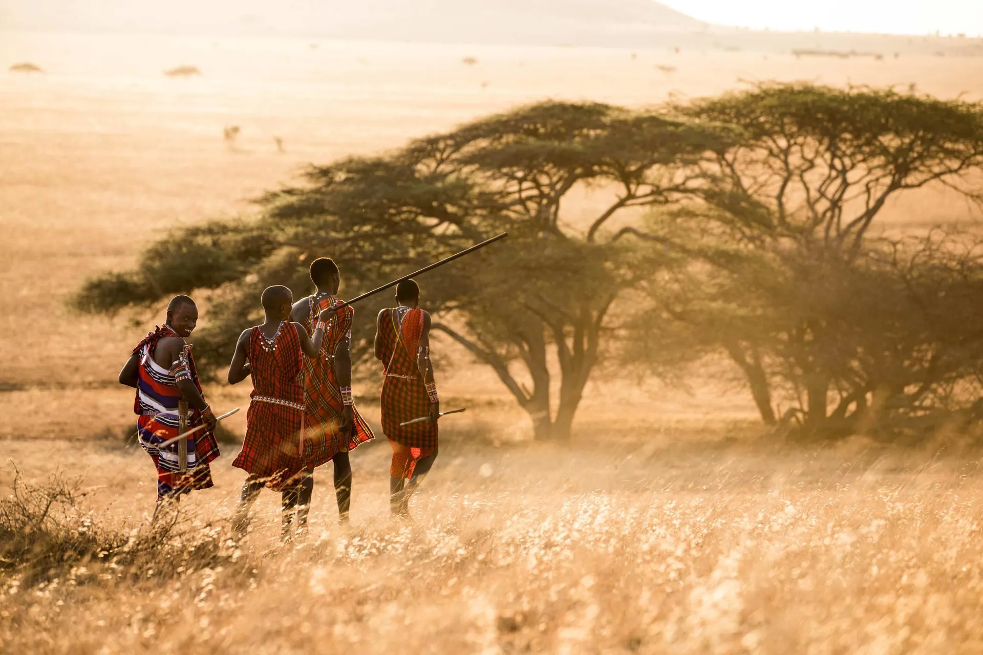 Best Kenya Safaris And Tours