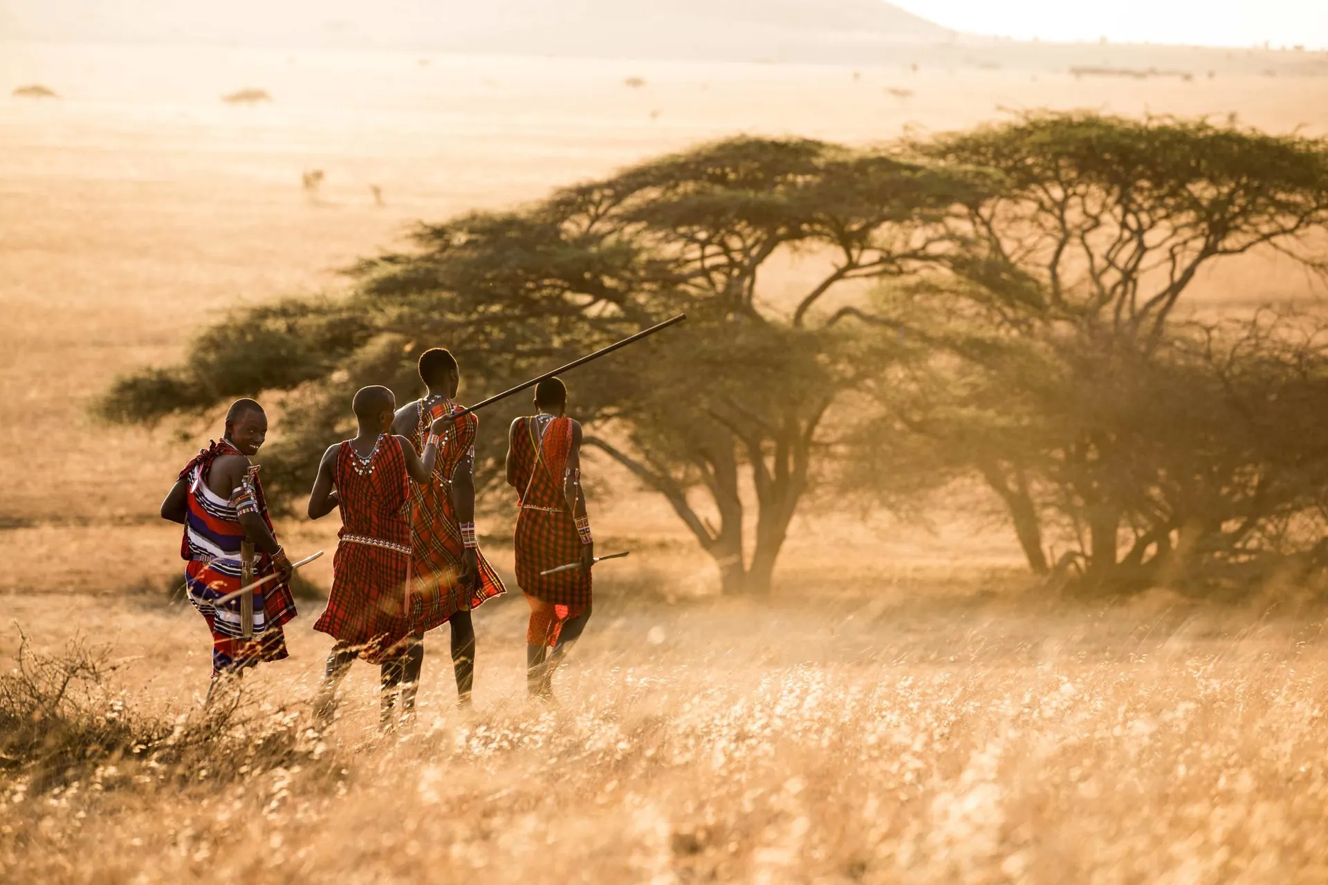 Africa Safaris And Holidays Best Kenya Safaris Tours
