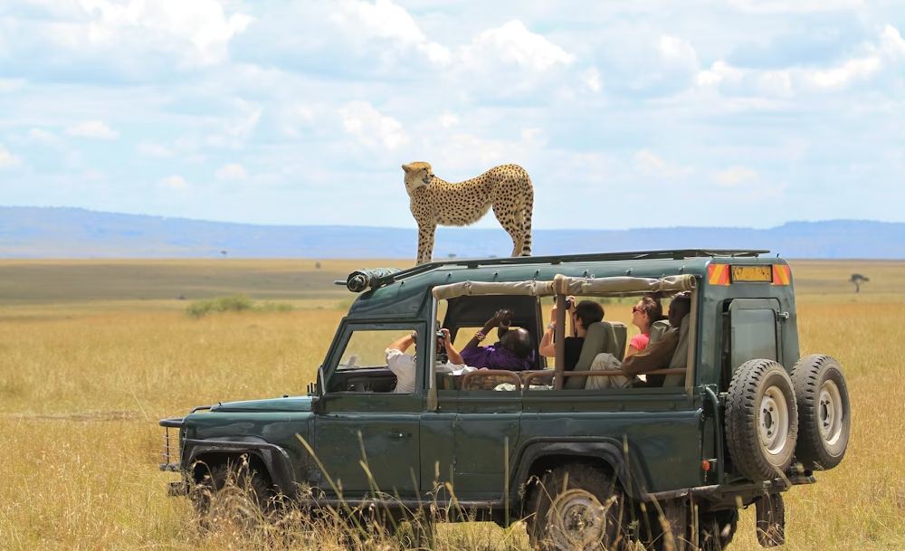 Safari In the Masai Mara
