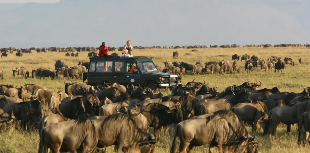 Your 2024 Guide To A Safari in Masai Mara, Kenya