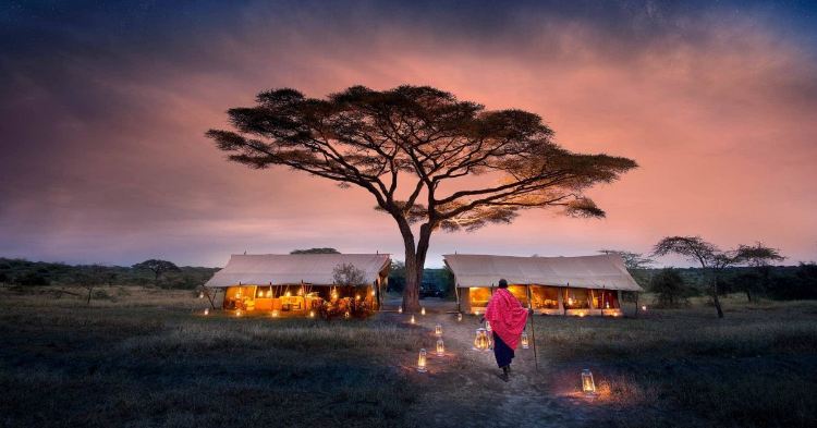 Serengeti Safari