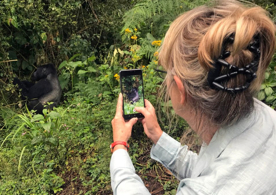 Uganda gorilla trekking Cost