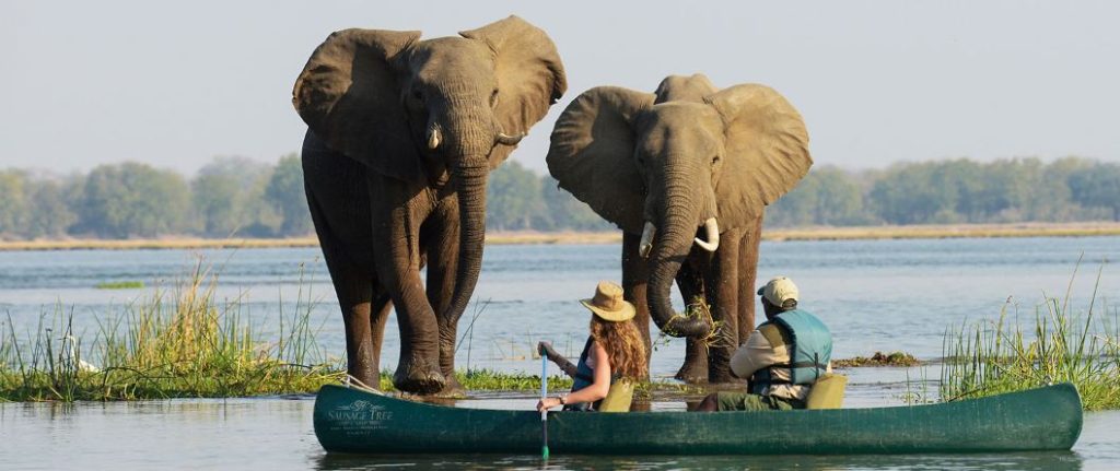 Best Zambia Safaris, Trips, And Tours Lower Zambezi National Park on the Zambezi River, Zambia