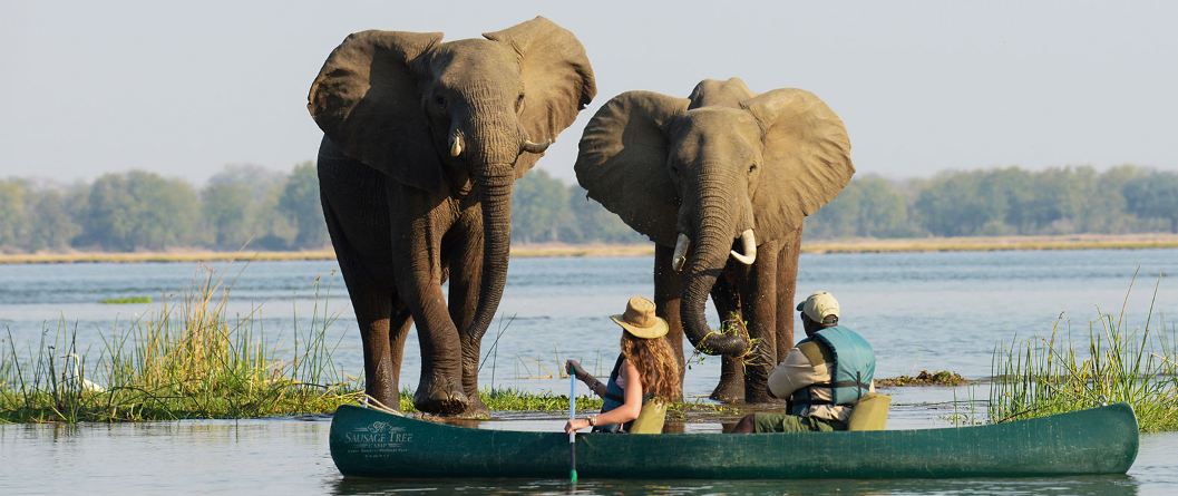 Zambia Safaris in Lower Zambezi National Park