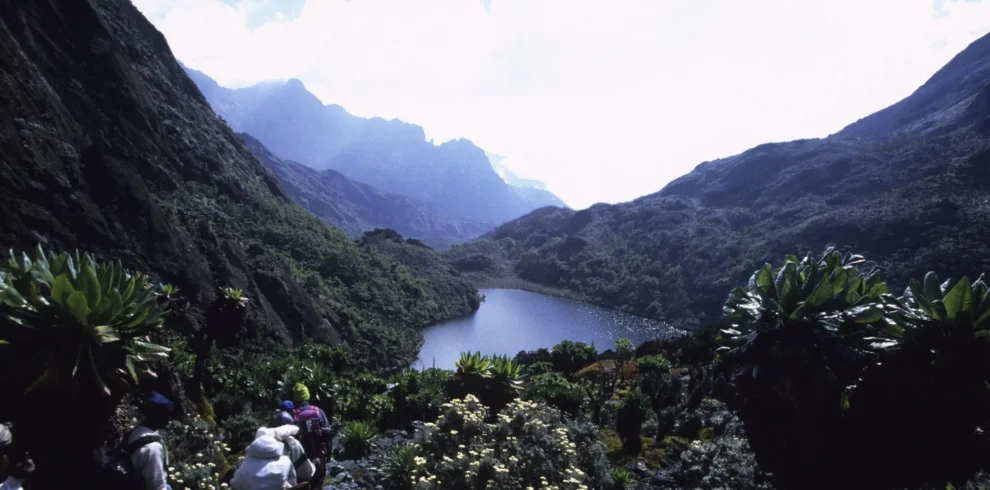 3 Day Rwenzori Mountains Hike
