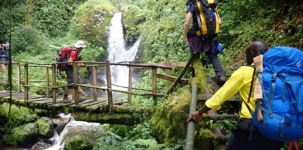 3-Day Rwenzori Mountains Hike