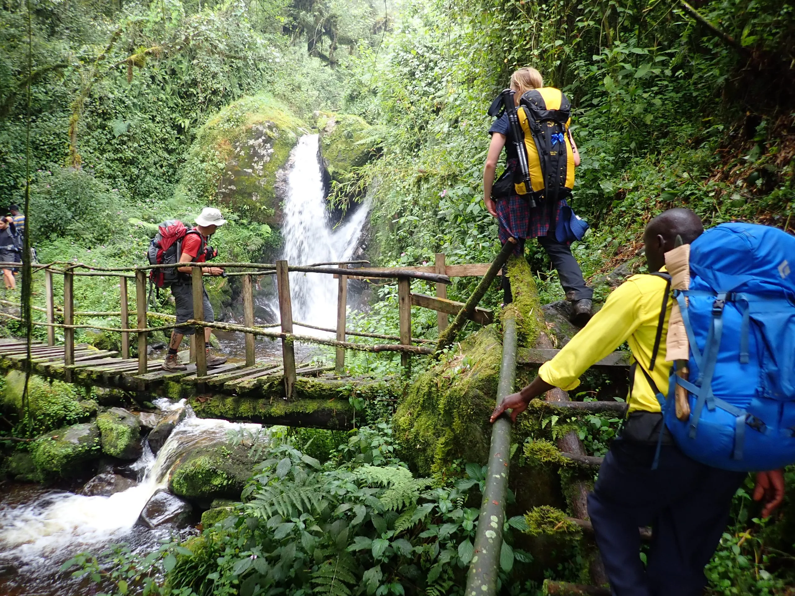 3-Day Rwenzori Mountains Hike