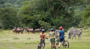 Lake Mburo National Park